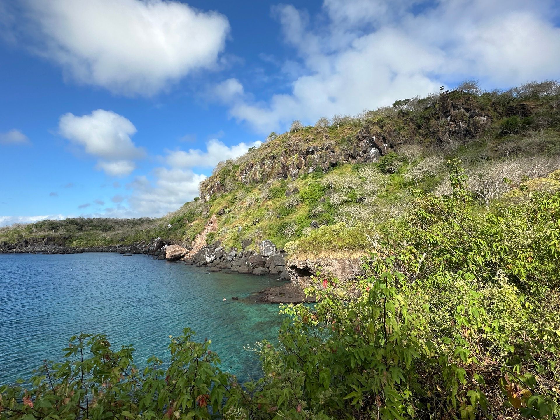 The turquoise snorkel cove below Cerro Tijeretas, ringed by lava rock and green cliffs on San Cristóbal