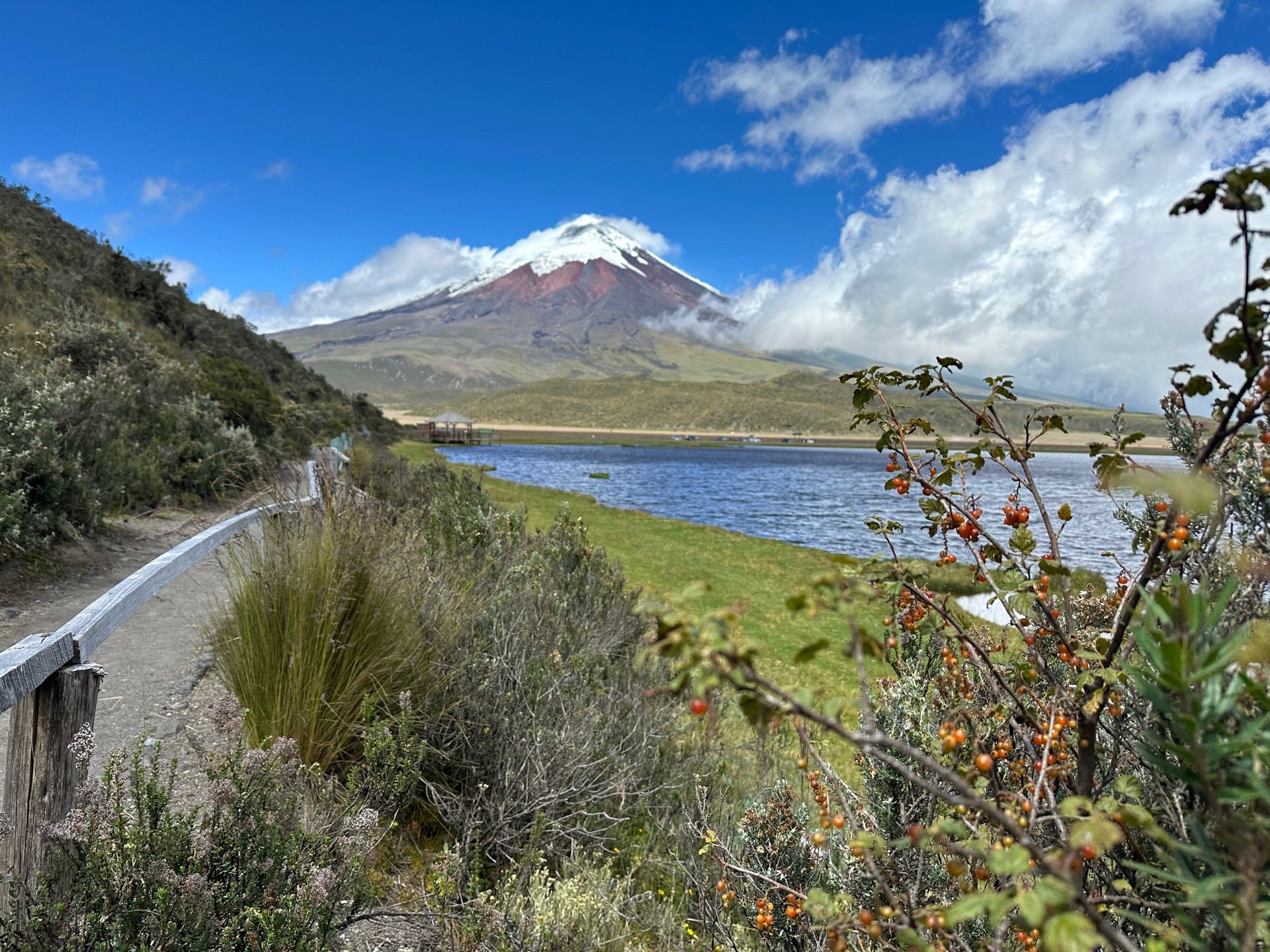 Trail beside Limpiopungo lagoon in Cotopaxi National Park, with the snow-capped cone of Cotopaxi volcano behind
