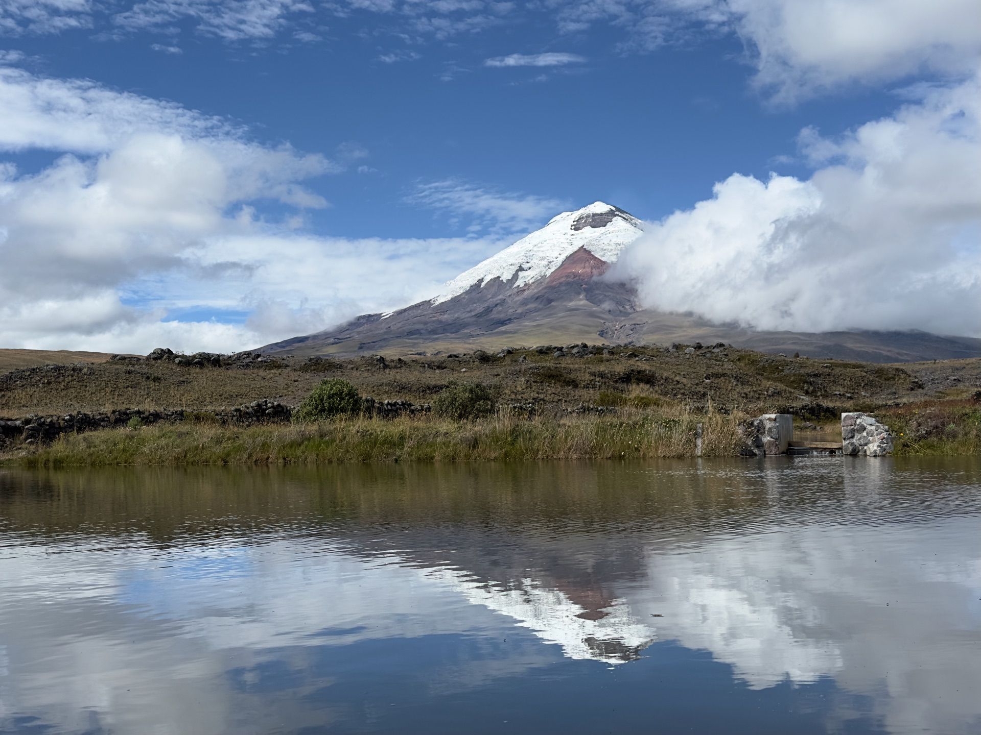 Cotopaxi volcano's snow-capped cone reflected in a still lagoon on the páramo