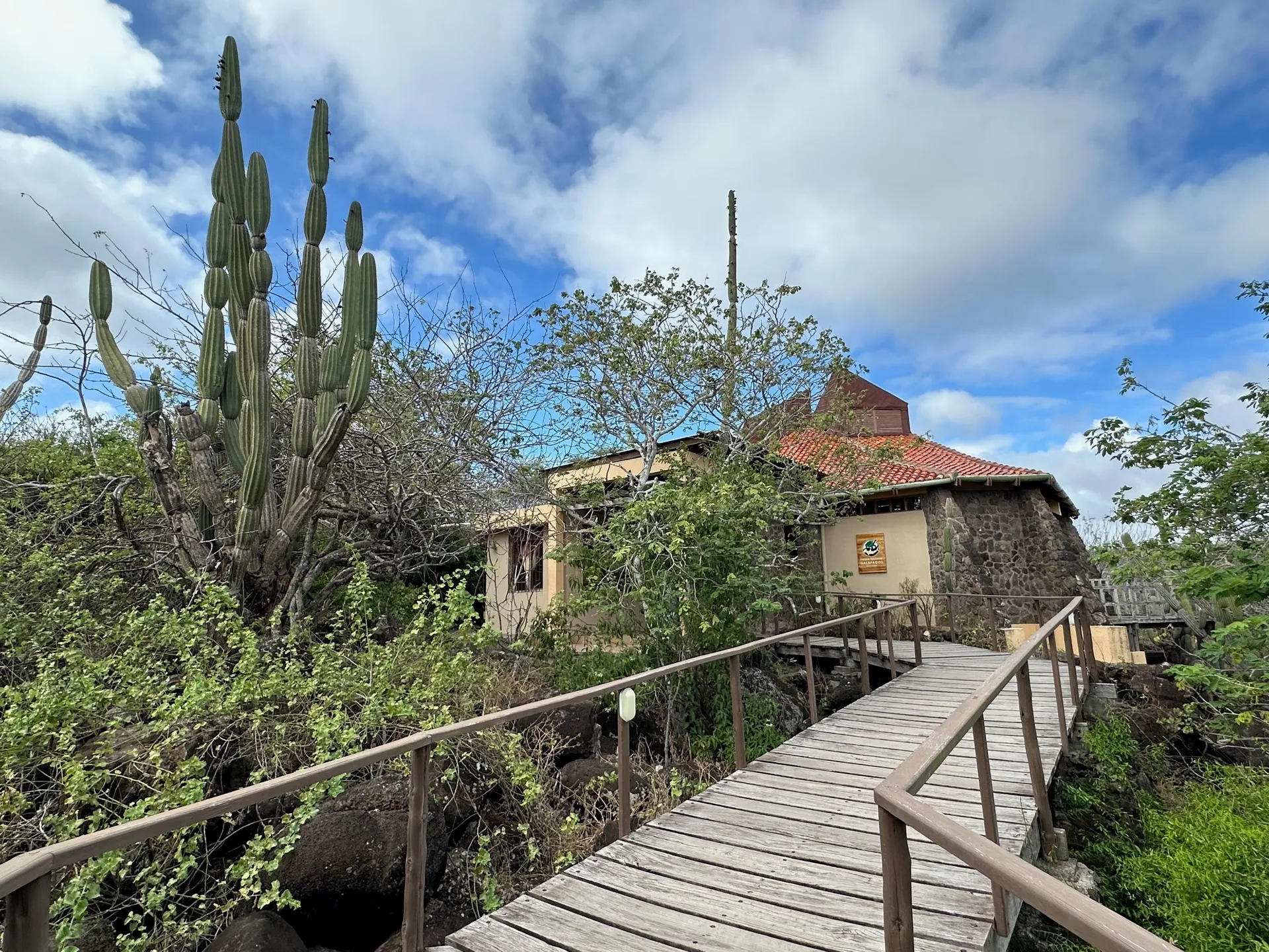 A wooden boardwalk trail winding between candelabra cacti and lava rock